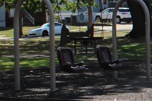Photo of the Inclusive Swings in the Playground at Chelsea Memorial Park.