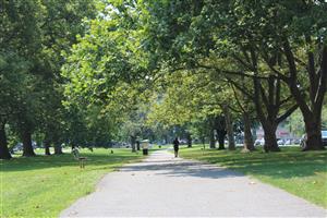 Photo of the Walk Path at Jubilee Park.