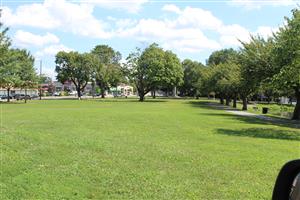 Photo of the Open Space at Main Memorial Park.