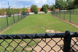 Photo of the Large Dog Section of the Dog Area at Nash Park.