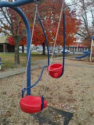 Photo of the Selfie Swing at the Nash Park.