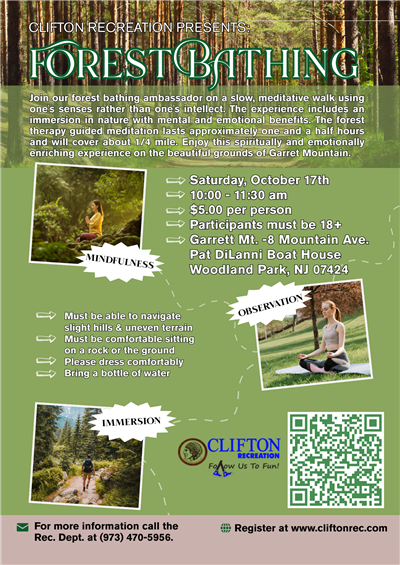 Program Flyer
